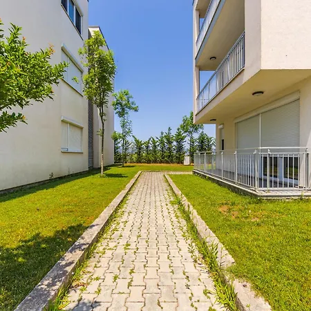 Talea 3 By Pikhost *